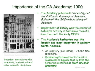 Importance of the CA Academy: 1900
 The Academy published: Proceedings of
the California Academy of Sciences,
Bulletin of the California Academy of
Sciences
 Department of Botany was the center of
botanical activity in California from its
inception until the early 1900’s.
 The Academy’s herbarium was the
largest and most important in western
North America.
 An inventory (mid-1890s) - 74,767 total
specimens.
 Considering Eastwood’s activities it is
reasonable to suppose that by 1906 the
herbarium contained at least 100,000
specimens.
© Project SOUND
Important interactions with
academic, horticultural and
other scientific disciplines
One Hundred and Fifty Years of Botany at the
California Academy of Sciences (1853–2003)
 