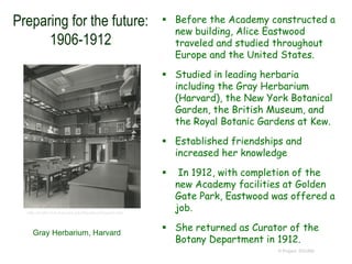 Preparing for the future:
1906-1912
 Before the Academy constructed a
new building, Alice Eastwood
traveled and studied throughout
Europe and the United States.
 Studied in leading herbaria
including the Gray Herbarium
(Harvard), the New York Botanical
Garden, the British Museum, and
the Royal Botanic Gardens at Kew.
 Established friendships and
increased her knowledge
 In 1912, with completion of the
new Academy facilities at Golden
Gate Park, Eastwood was offered a
job.
 She returned as Curator of the
Botany Department in 1912.
© Project SOUND
http://botlib.huh.harvard.edu/libraries/Grayarc.htm
Gray Herbarium, Harvard
 