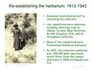 Re-establishing the herbarium: 1912-1942
 Eastwood dedicated herself to
rebuilding the collection.
 Her expeditions were numerous,
including collecting trips to
Alaska, Arizona, Baja California,
British Columbia, Utah, and all
throughout California.
 Many of the expeditions were
financed personally by Eastwood
 By 1942, the collection numbered
over 300,000 plant specimens,
nearly three times the number
destroyed in 1906 earthquake and
fire
© Project SOUND
http://content.cdlib.org/ark:/13030/kt4n39s1p5/
 