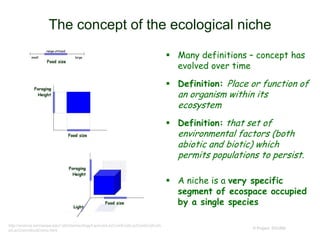 The concept of the ecological niche
 Many definitions – concept has
evolved over time
 Definition: Place or function of
an organism within its
ecosystem
 Definition: that set of
environmental factors (both
abiotic and biotic) which
permits populations to persist.
 A niche is a very specific
segment of ecospace occupied
by a single species
© Project SOUND
http://science.kennesaw.edu/~jdirnber/ecology/Lecture/LecComEcol/LecComEcolCom
p/LecCommEcolComp.html
 