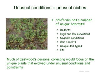 Unusual conditions = unusual niches
 California has a number
of unique habitats:
 Deserts
 High and low elevations
 Seaside conditions
 Rain forests
 Unique soil types
 Etc.
© Project SOUND
Much of Eastwood’s personal collecting would focus on the
unique plants that evolved under unusual conditions and
constraints
 