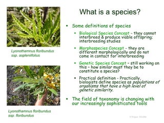 © Project SOUND
What is a species?
 Some definitions of species
 Biological Species Concept - they cannot
interbreed & produce viable offspring;
interbreeding studies
 Morphospecies Concept - they are
different morphologically and do not
come in contact for interbreeding
 Genetic Species Concept – still working on
this – how similar must they be to
constitute a species?
 Practical definition - Practically,
biologists define species as populations of
organisms that have a high level of
genetic similarity.
 The field of taxonomy is changing with
our increasingly sophisticated tools
Lyonothamnus floribundus
ssp. aspleniifolius
Lyonothamnus floribundus
ssp. floribundus
 