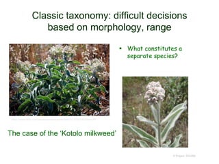 Classic taxonomy: difficult decisions
based on morphology, range
 What constitutes a
separate species?
© Project SOUND
https://www.flickr.com/photos/eastbaywilds/sets/72157624452564246/
The case of the ‘Kotolo milkweed’
 