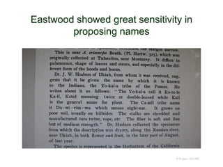Eastwood showed great sensitivity in
proposing names
© Project SOUND
 