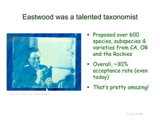 Eastwood was a talented taxonomist
 Proposed over 600
species, subspecies &
varieties from CA, OR
and the Rockies
 Overall, ~30%
acceptance rate (even
today)
 That’s pretty amazing!
© Project SOUND
http://content.cdlib.org/ark:/13030/kt9n39s2r7/
 