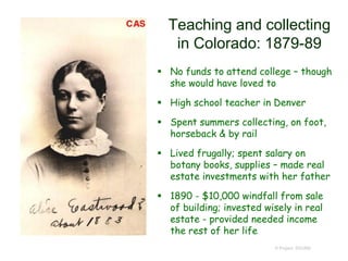 Teaching and collecting
in Colorado: 1879-89
 No funds to attend college – though
she would have loved to
 High school teacher in Denver
 Spent summers collecting, on foot,
horseback & by rail
 Lived frugally; spent salary on
botany books, supplies – made real
estate investments with her father
 1890 - $10,000 windfall from sale
of building; invested wisely in real
estate - provided needed income
the rest of her life
© Project SOUND
 