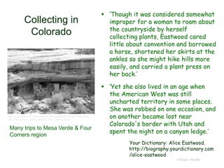 Collecting in
Colorado
 ‘Though it was considered somewhat
improper for a woman to roam about
the countryside by herself
collecting plants, Eastwood cared
little about convention and borrowed
a horse, shortened her skirts at the
ankles so she might hike hills more
easily, and carried a plant press on
her back.’
 ‘Yet she also lived in an age when
the American West was still
uncharted territory in some places.
She was robbed on one occasion, and
on another became lost near
Colorado's border with Utah and
spent the night on a canyon ledge.’
Your Dictionary: Alice Eastwood.
http://biography.yourdictionary.com
/alice-eastwood
© Project SOUND
Many trips to Mesa Verde & Four
Corners region
http://www.tripadvisor.com/Attraction_Review-g60900-d125453-Reviews-
Cliff_Palace-Mesa_Verde_National_Park_Colorado.html
 
