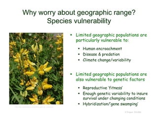 Why worry about geographic range?
Species vulnerability
 Limited geographic populations are
particularly vulnerable to:
 Human encroachment
 Disease & predation
 Climate change/variability
 Limited geographic populations are
also vulnerable to genetic factors
 Reproductive ‘fitness’
 Enough genetic variability to insure
survival under changing conditions
 Hybridization/’gene swamping’
© Project SOUND
http://en.wikipedia.org/wiki/Lupinus_croceus
 