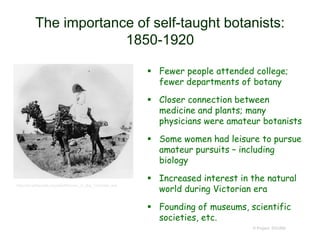 The importance of self-taught botanists:
1850-1920
 Fewer people attended college;
fewer departments of botany
 Closer connection between
medicine and plants; many
physicians were amateur botanists
 Some women had leisure to pursue
amateur pursuits – including
biology
 Increased interest in the natural
world during Victorian era
 Founding of museums, scientific
societies, etc.
© Project SOUND
http://en.wikipedia.org/wiki/Women_in_the_Victorian_era
 