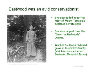 Eastwood was an avid conservationist.
 She succeeded in getting
most of Mount Tamalpais
declared a state park.
 She also helped form the
“Save the Redwoods”
League.
 Worked to save a redwood
grove in Humboldt County
(which was named Alice
Eastwood Memorial Grove).
© Project SOUND
http://islapedia.com/index.php?title=EASTWOOD,_Alice
 