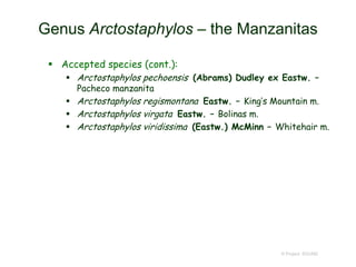 Genus Arctostaphylos – the Manzanitas
 Accepted species (cont.):
 Arctostaphylos pechoensis (Abrams) Dudley ex Eastw. –
Pacheco manzanita
 Arctostaphylos regismontana Eastw. – King’s Mountain m.
 Arctostaphylos virgata Eastw. – Bolinas m.
 Arctostaphylos viridissima (Eastw.) McMinn – Whitehair m.
© Project SOUND
 