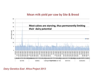 Unlocking the potential of admix local dairy cattle populations: The opportunities and frameworks for increased milk production in low input production systems