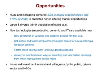 Unlocking the potential of admix local dairy cattle populations: The opportunities and frameworks for increased milk production in low input production systems