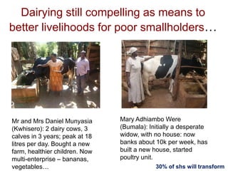 Unlocking the potential of admix local dairy cattle populations: The opportunities and frameworks for increased milk production in low input production systems