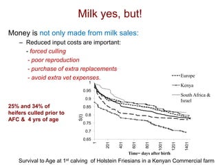 Unlocking the potential of admix local dairy cattle populations: The opportunities and frameworks for increased milk production in low input production systems