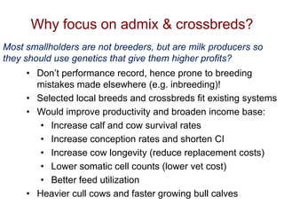 Unlocking the potential of admix local dairy cattle populations: The opportunities and frameworks for increased milk production in low input production systems