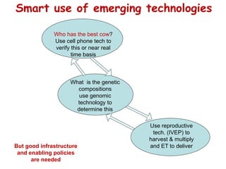 Unlocking the potential of admix local dairy cattle populations: The opportunities and frameworks for increased milk production in low input production systems