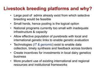 Unlocking the potential of admix local dairy cattle populations: The opportunities and frameworks for increased milk production in low input production systems