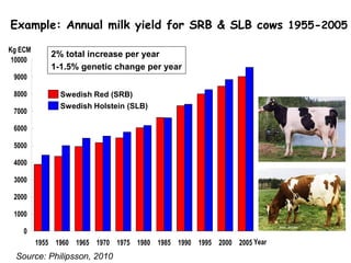 Unlocking the potential of admix local dairy cattle populations: The opportunities and frameworks for increased milk production in low input production systems