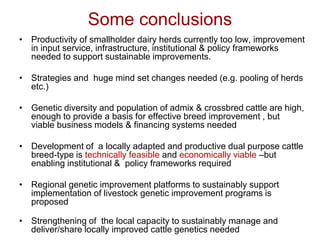 Unlocking the potential of admix local dairy cattle populations: The opportunities and frameworks for increased milk production in low input production systems