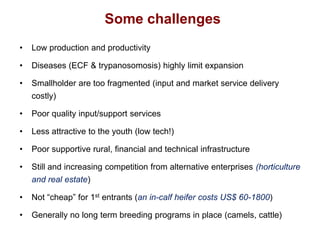 Unlocking the potential of admix local dairy cattle populations: The opportunities and frameworks for increased milk production in low input production systems