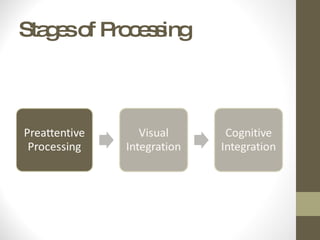 Stages of Processing 