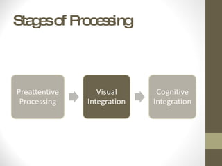 Stages of Processing 
