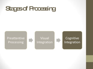 Stages of Processing 