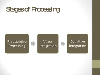 Stages of Processing 