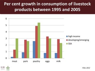 Opportunities for a sustainable and competitive livestock sector in Africa