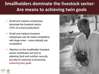Opportunities for a sustainable and competitive livestock sector in Africa