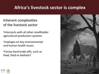 Opportunities for a sustainable and competitive livestock sector in Africa