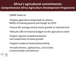 Opportunities for a sustainable and competitive livestock sector in Africa