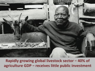 Opportunities for a sustainable and competitive livestock sector in Africa