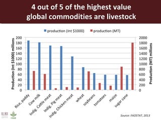Opportunities for a sustainable and competitive livestock sector in Africa