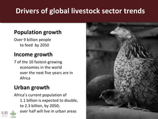 Opportunities for a sustainable and competitive livestock sector in Africa