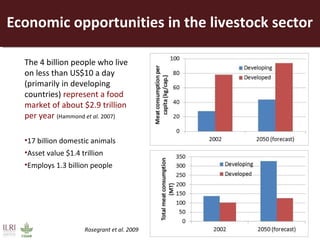 Opportunities for a sustainable and competitive livestock sector in Africa