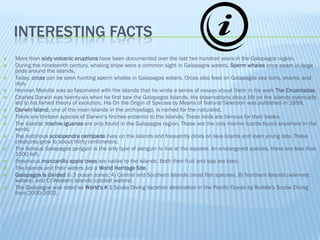 INTERESTING FACTS
   More than sixty volcanic eruptions have been documented over the last two hundred years in the Galapagos region.
   During the nineteenth century, whaling ships were a common sight in Galapagos waters. Sperm whales once swam in large
    pods around the islands.
   Today, orcas can be seen hunting sperm whales in Galapagos waters. Orcas also feed on Galapagos sea lions, sharks, and
    rays.
   Herman Melville was so fascinated with the islands that he wrote a series of essays about them in his work The Encantadas.
   Charles Darwin was twenty-six when he first saw the Galapagos Islands. His observations about life on the islands eventually
    led to his famed theory of evolution. His On the Origin of Species by Means of Natural Selection was published in 1859.
   Darwin Island, one of the main islands in the archipelago, is named for the naturalist.
   There are thirteen species of Darwin's finches endemic to the islands. These birds are famous for their beaks.
   The islands' marine iguanas are only found in the Galapagos region. These are the only marine lizards found anywhere in the
    world.
   The notorious scolopendra centipede lives on the islands and frequently dines on lava lizards and even young rats. These
    creatures grow to about thirty centimeters.
   The famous Galapagos penguin is the only type of penguin to live at the equator. An endangered species, there are less than
    1500 left.
   Poisonous manzanillo apple trees are native to the islands. Both their fruit and sap are toxic.
   The islands and their waters are a World Heritage Site.
   Galapagos is divided in 3 ocean zones: A) Central and Southern Islands (most fish species), B) Northern Islands (warmest
    waters), and C) Western Islands (coolest waters).
   The Galapagos was rated as World's # 1 Scuba Diving Vacation destination in the Pacific Ocean by Rodale's Scuba Diving
    from 2000-2002.
 