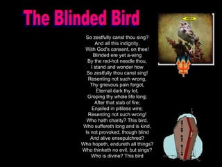 The Blinded Bird So zestfully canst thou sing? And all this indignity, With God's consent, on thee! Blinded ere yet a-wing By the red-hot needle thou, I stand and wonder how So zestfully thou canst sing! Resenting not such wrong, Thy grievous pain forgot, Eternal dark thy lot, Groping thy whole life long; After that stab of fire; Enjailed in pitiless wire; Resenting not such wrong! Who hath charity? This bird. Who suffereth long and is kind, Is not provoked, though blind And alive ensepulchred? Who hopeth, endureth all things? Who thinketh no evil, but sings? Who is divine? This bird dying but alive 