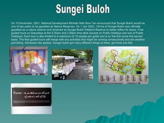 Sungei Buloh On 10 November, 2001, National Development Minister Mah Bow Tan announced that Sungei Buloh would be one of two parks to be gazetted as Nature Reserves. On 1 Jan 2002, 130-ha of Sungei Buloh was officially gazetted as a nature reserve and renamed as Sungei Buloh Wetland Reserve to better reflect its status. Free guided tours on Saturdays at the 9.30am and 3.30pm time slots (except on Public Holidays and eve of Public Holidays). Each tour is also limited to a maximum of 15 people per guide and is on the first come first served basis. The free guided tours will merge with any activities that might be running consecutively and are weather permitting. Admission fee applies. Sungei buloh got many different things at there, got birds and fish. 