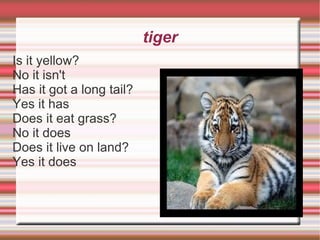tiger ,[object Object]