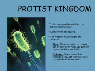 PROTIST KINGDOM
• Protists are usually unicellular, but
some are multicellular.
• Most protists are aquatic.
• This kingdom includes algae and
protozoa.
• Algae: They can consist of a single
cell or many cells. Algae use sunlight
to produce their own food.
• Protozoa: they are unicellular
organisms.They get their nutrients
through the cell membrane.
 