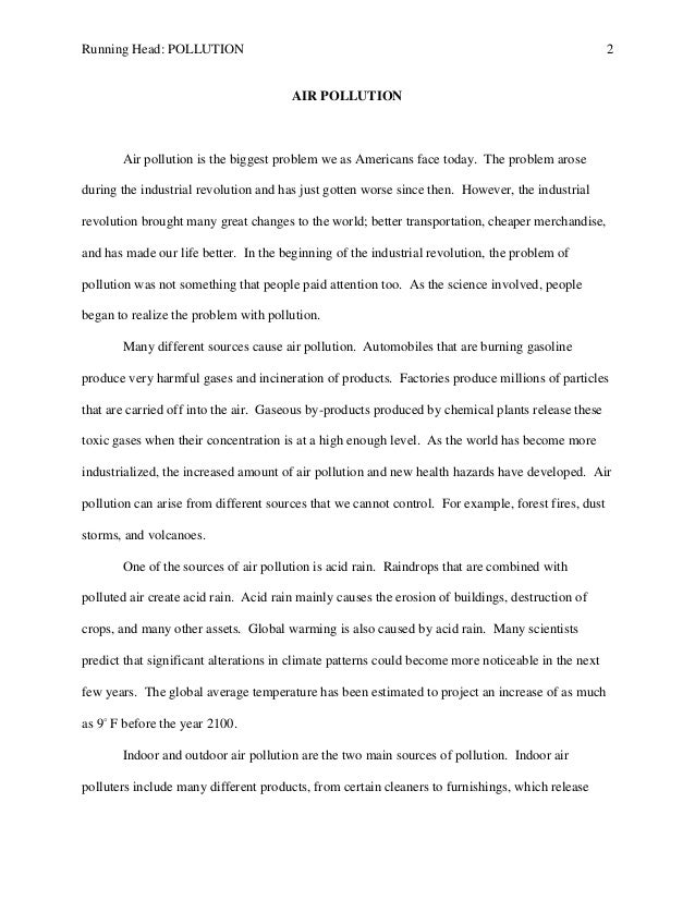 Air pollution essay