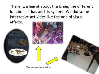 There, we learnt about the brain, the different
functions it has and its system. We did some
interactive activities like the one of visual
effects.
Working on the activities
 