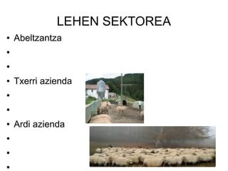 LEHEN SEKTOREA
●   Abeltzantza
●


●


●   Txerri azienda
●


●


●   Ardi azienda
●


●


●
 