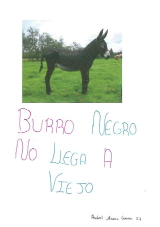 2ºCD Prof. Alicia Gómez