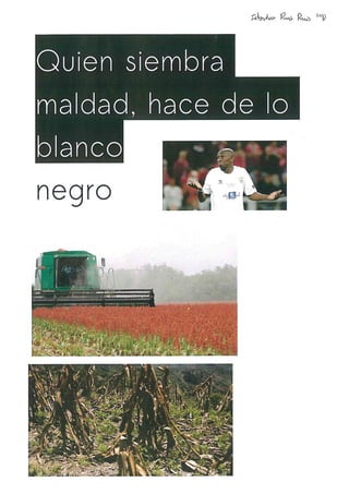 2ºCD Prof. Alicia Gómez