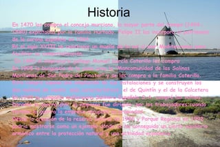 Historia
En 1470 las compra el concejo murciano, la mayor parte del tiempo (1494-
1580) explotadas por la familia Hurtado. Felipe II las incorpora al patrimonio
de la corona española en 1564.
En el siglo XVIII se construye un muelle de la sal al mar Mediterraneo para
facilitar su comercialización.
En 1880 el empresario gallego Manuel García Coterillo las compra
En 1905 la burguesía de la zona crea la "Mancomunidad de las Salinas
Marítimas de San Pedro del Pinatar" y se las compra a la familia Coterillo.
Esta compra supone una ampliación de sus instalaciones y se construyen los
dos molinos de viento más característicos: el de Quintín y el de la Calcetera
En 1920 la compañía mallorquina Salinera Española S.A. compró las salinas.
Durante la guerra civil la empresa fue dirigida por los trabajadores;cuando
termino la guerra la empresa recuperó su propiedad.
Desde la creación de la reserva natural en 1985 y Parque Regional en 1992
podría mostrarse como un ejemplo dónde se ha conseguido un cierto equilibrio
armónico entre la protección natural y una actividad económica.
 