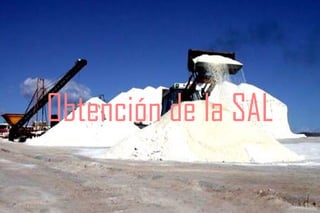 Obtención de la SAL
 