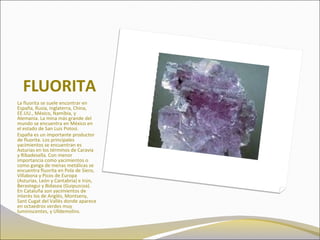 FLUORITA
La fluorita se suele encontrar en
España, Rusia, Inglaterra, China,
EE.UU., México, Namibia, y
Alemania. La mina más grande del
mundo se encuentra en México en
el estado de San Luis Potosi.
España es un importante productor
de fluorita. Los principales
yacimientos se encuentran es
Asturias en los términos de Caravia
y Ribadesella. Con menor
importancia como yacimientos o
como ganga de menas metálicas se
encuentra fluorita en Pola de Siero,
Villabona y Picos de Europa
(Asturias, León y Cantabria) e Irún,
Berastegui y Bidasoa (Guipuzcoa).
En Cataluña son yacimientos de
interés los de Anglés, Montseny,
Sant Cugat del Vallés donde aparece
en octaedros verdes muy
luminiscentes, y Ulldemolins.
 